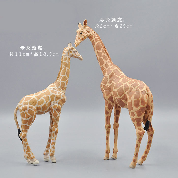 Kangaroo Kids Education - จำลองสัตว์ Toy สัตว์ป่ารูป Tiger Lion Zebra