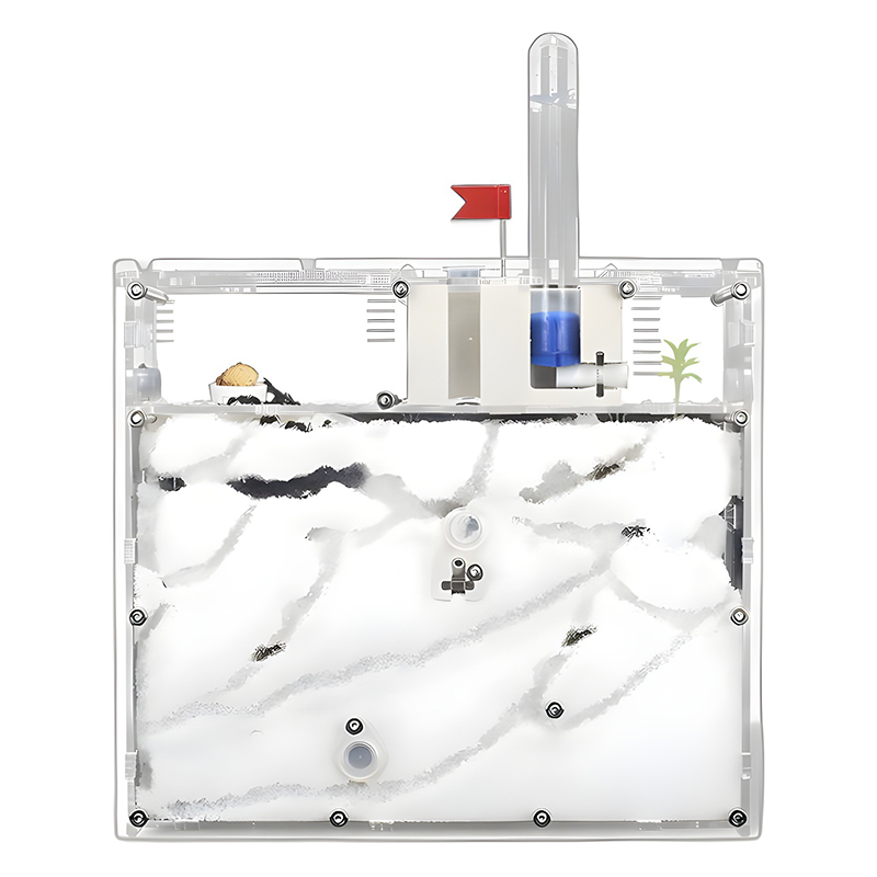 พระราชอาณาจักรมด บ้านมด ปราสาท - Kingdom Kids Education บทวิจารณ์และราคา