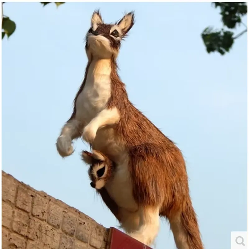 ตุ๊กตาผ้ากำมะหยี่รูปจิงโจ้เสมื - Kangaroo Kids Education บทวิจารณ์และราคา