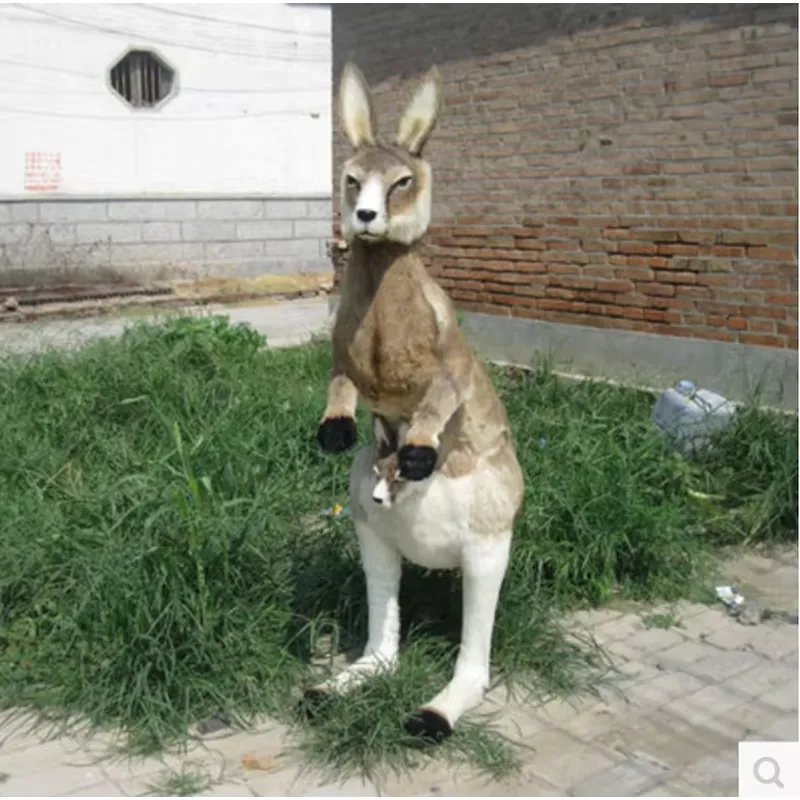ตุ๊กตาผ้ากำมะหยี่รูปจิงโจ้เสมื - Kangaroo Kids Education บทวิจารณ์และราคา