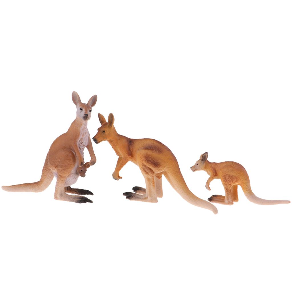 โมเดลสัตว์จำลองที่สมจริง ชุดคร - Kangaroo Kids Education บทวิจารณ์และราคา