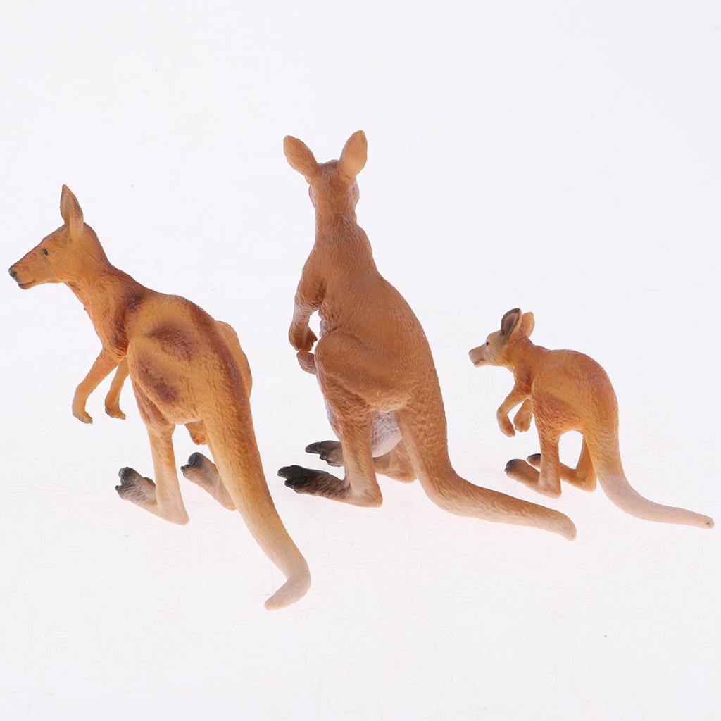 โมเดลสัตว์จำลองที่สมจริง ชุดคร - Kangaroo Kids Education บทวิจารณ์และราคา